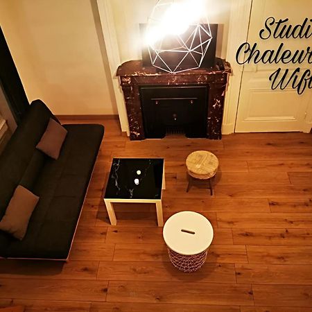 La Croisade-Studio-Hyper Centre Tassin- Suite 1 المظهر الخارجي الصورة